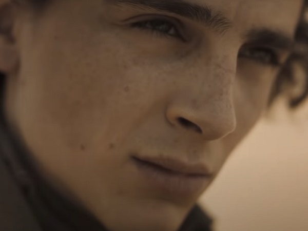 Timothée Chalamet movies in order | It's A Stampede!