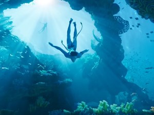 How many Avatar movies are there? | It's A Stampede!