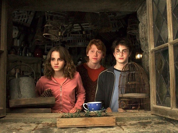 What is the best order to watch the Harry Potter movies? | It's A Stampede!