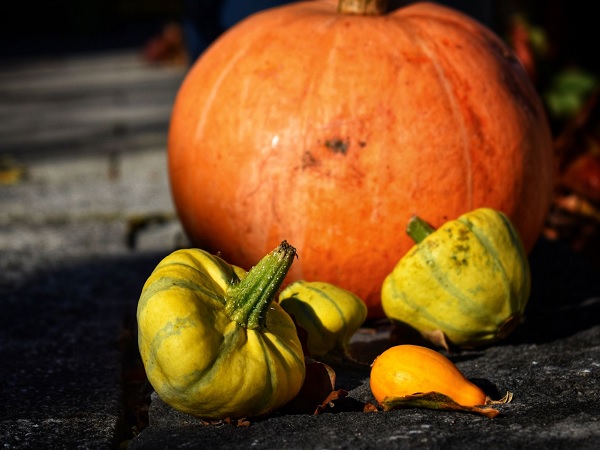 Hallmark announces Pumpkin Regatta Romance